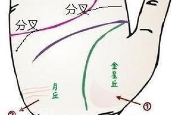 手相风水：爱情线怎么看有几段感情