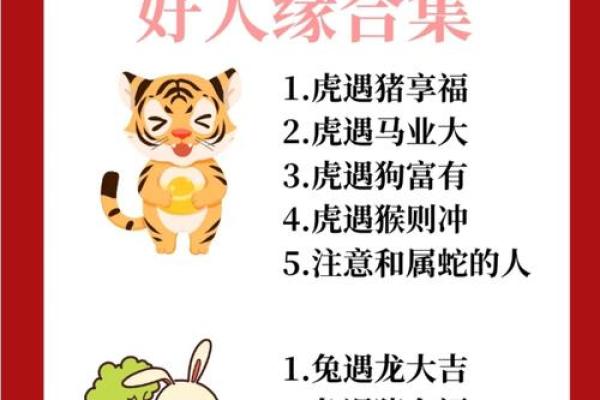 生肖配对属鼠属鸡的婚姻怎么样