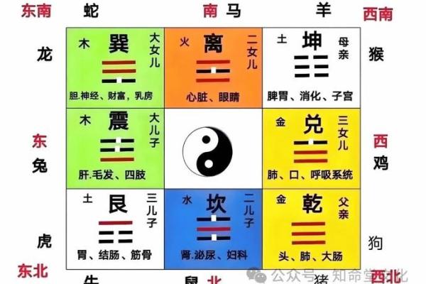八个卦的吉凶方位图表,八个卦的含义
