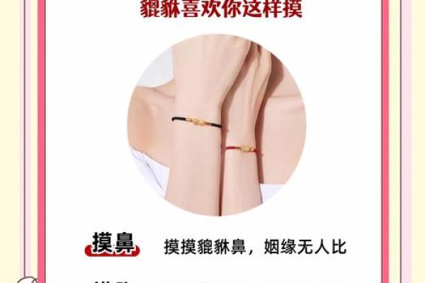 女生佩戴貔貅都有哪些风水禁忌了