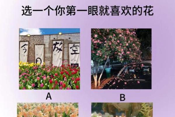 心理测试酱姓名配对 心理测试名称与结果？