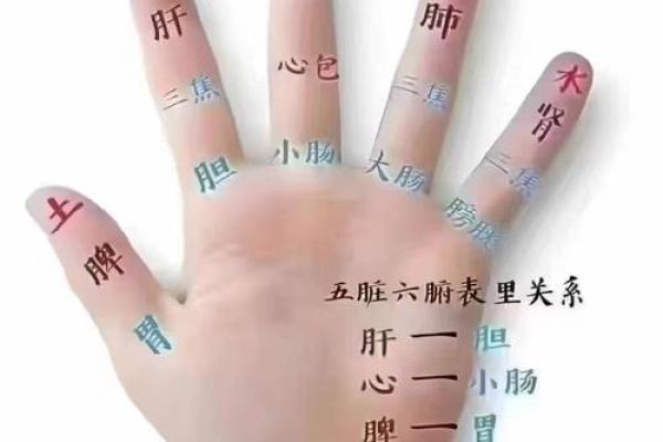 八字看健康；和中医的共通之处