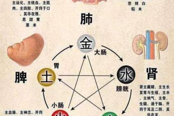 八字看健康；和中医的共通之处