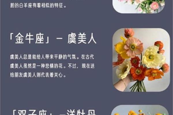 十二星座最合适的花