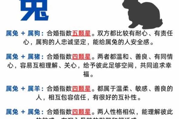 属兔的最佳生肖配对