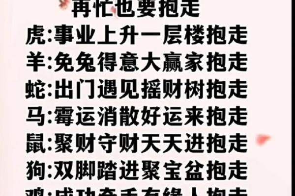 红豆与十二生肖配对看看你属于哪一种