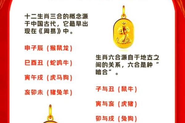 属蛇的男人应该与哪个生肖进行配对