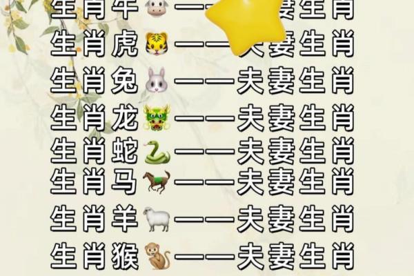 女牛男兔生肖配对姻缘 女牛男兔相配婚姻会怎么样？