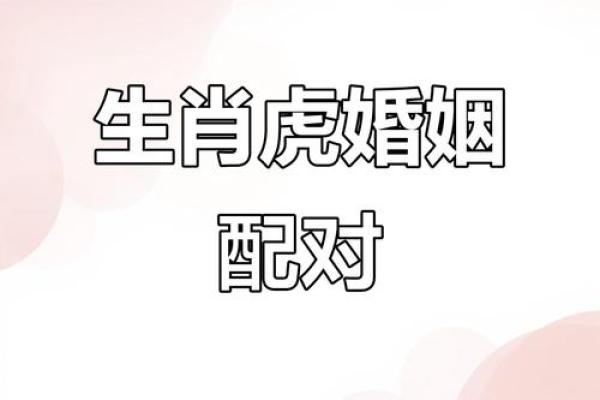 虎与最佳配鱼是什么  虎的最佳配对是什么