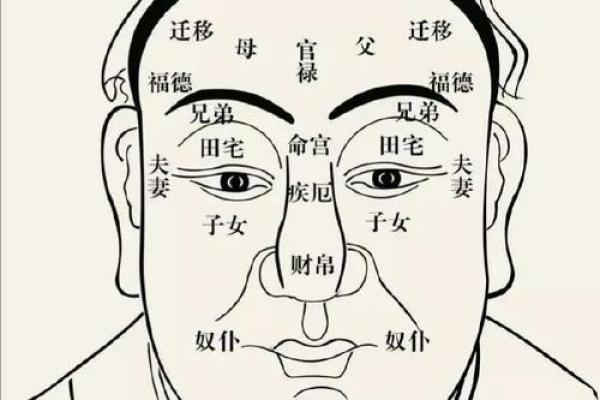 面相为什么断眉是富贵之相风水解答