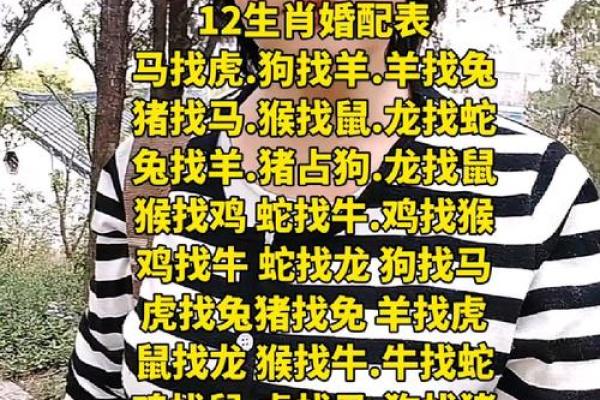 鸡蛇生肖配对指数 鸡和蛇属相婚配指数