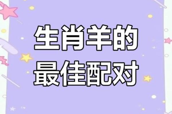 1979属羊最佳配对