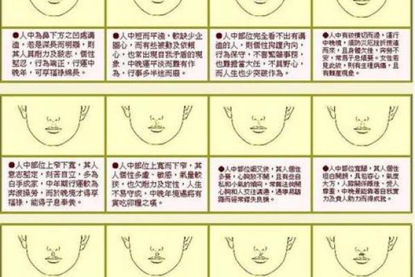 面相风水鼻头大的男人好不好是长寿命吗