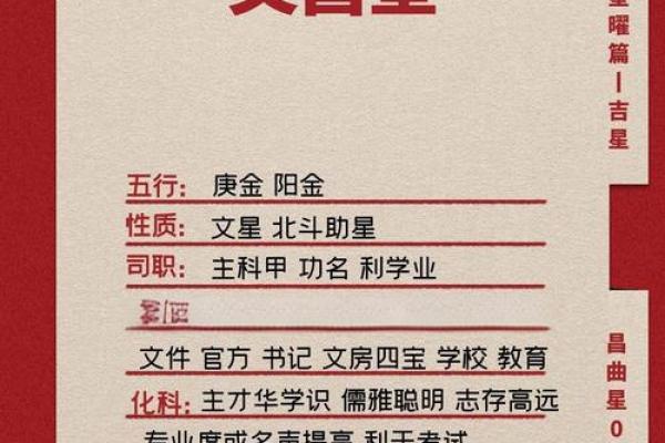 紫薇斗数文曲男