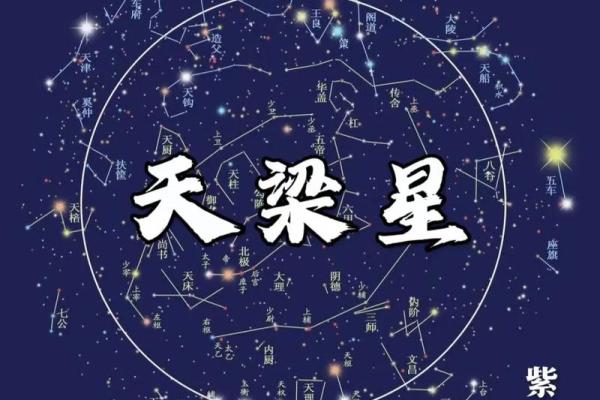 国学通鉴之紫薇斗数