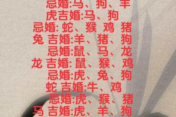 属兔正缘出现在哪年 属兔人婚姻配对表