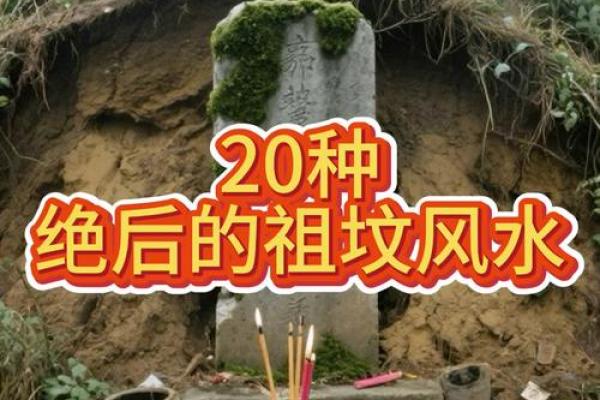 城市风水_别人的祖坟要葬在我家地里