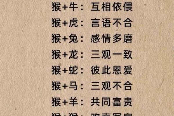 什么样的特质和条件使得婚姻配对互相般配