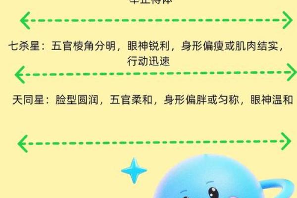 紫薇斗数各星意象