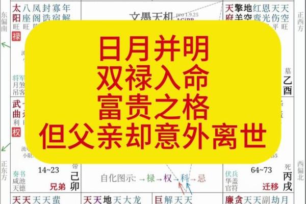 紫薇斗数命之夫