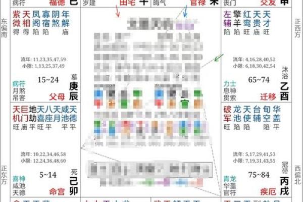 紫薇斗数实例详解视频