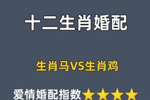 鸡马生肖配对指数 鸡和马属相婚配指数