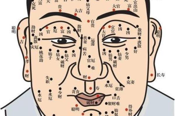 相书算命面相 相书中的面相能算命吗