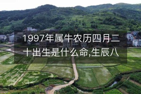 2024农历牛年二月初九是开市吉日吗 运势低迷不是