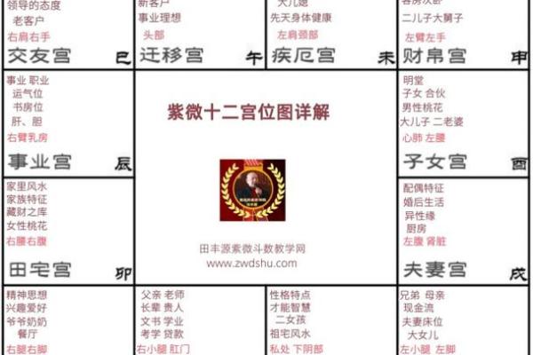 大运紫微斗数命盘查询详解 紫微斗数大运什么意思？