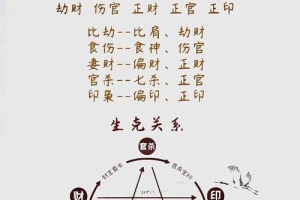大运与八字