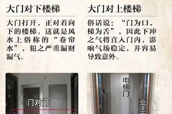 风水人居