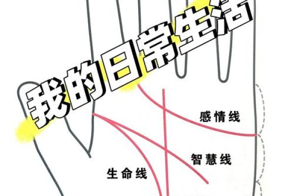 生命线算命：手掌上的玄机真能预测你的命运？