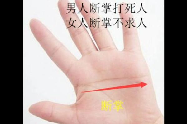男人断掌手纹算命图解