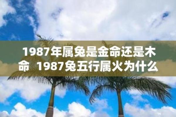 算命说是金兔子