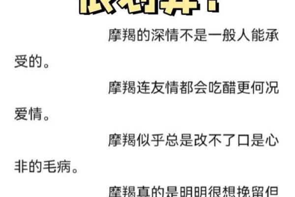 摩羯座跟哪个星座适合谈恋爱
