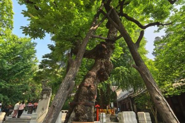 潭柘寺算命
