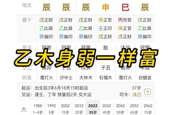八字身弱甲木女有什么特点