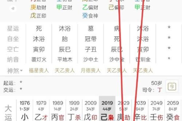 八字己巳大运是什么运势