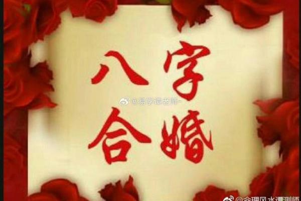 请大师帮助八字合婚好不好