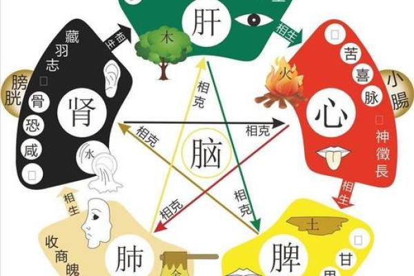 八字与疾病的关系，易生病的八字有哪些特征？_1