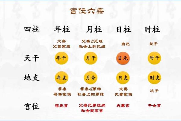 八字宫位详解信息