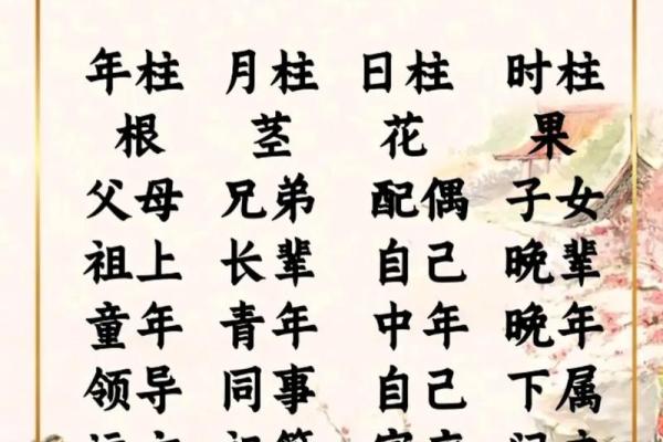 女命八字如何看？八字分析&详解