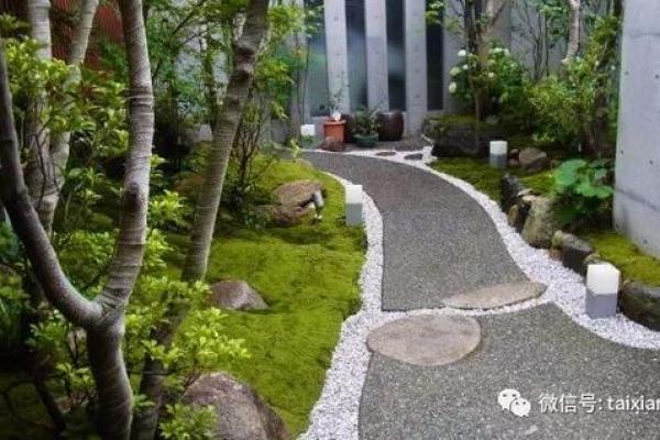 让家庭和谐青苔的风水