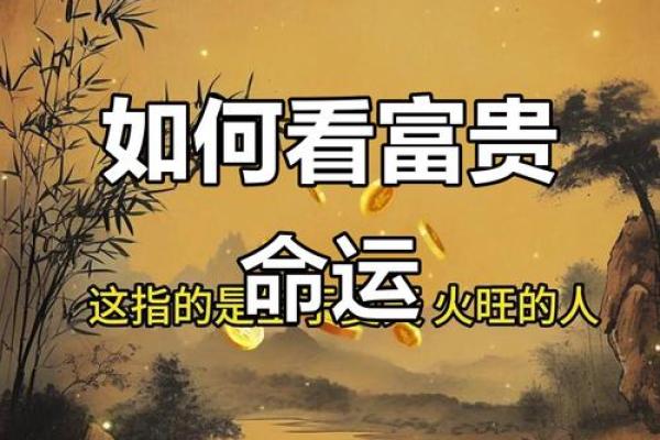 富人八字