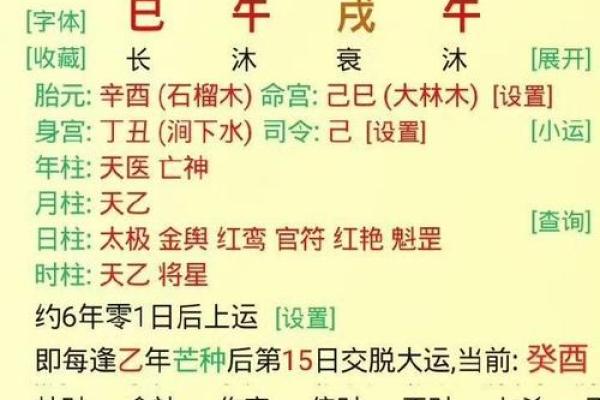 八字中官