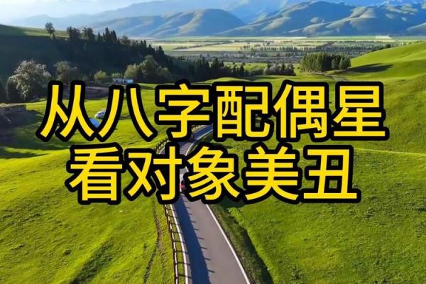 八字配偶方向